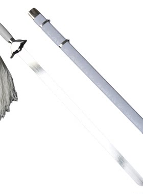 舞蹈表演拍照软剑武术太极剑