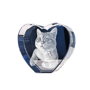 猫咪狗狗模型摆件 宠物离世纪念品毛发爪印照片定制手办 生日礼物