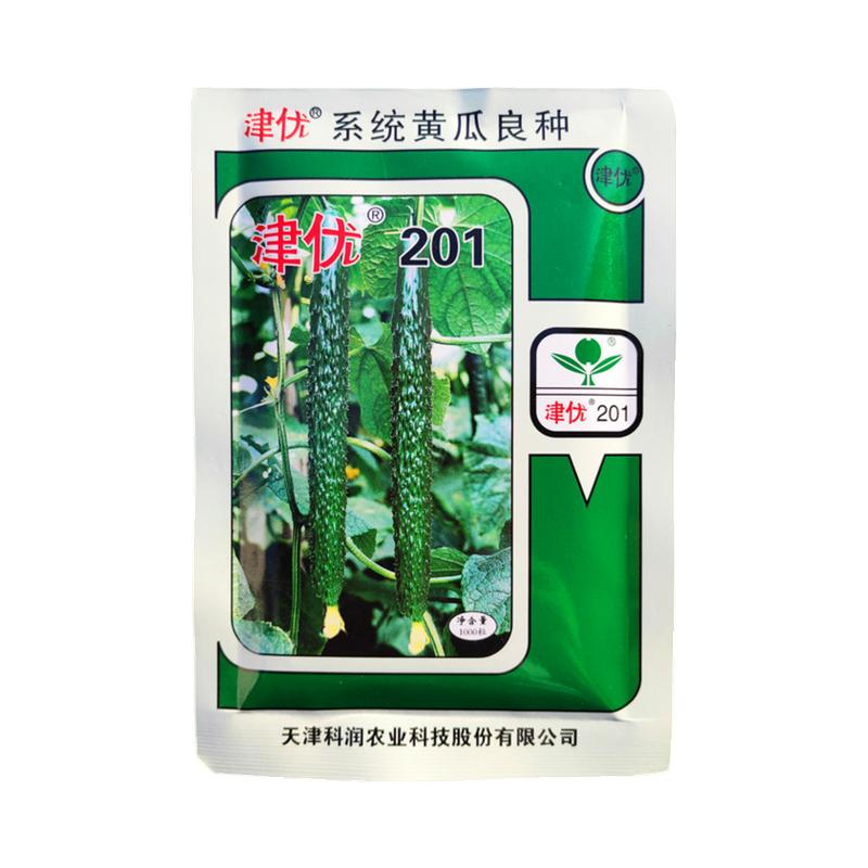 津优蔬菜籽黄花种子耐低温强雌亮
