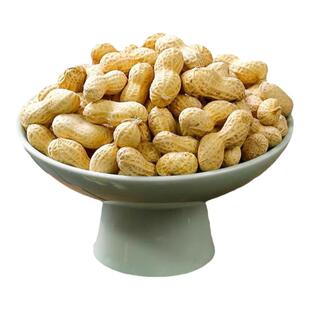 永信东北小花生奶香蒜香山核桃味带壳小包装香辣五香味休闲小零食