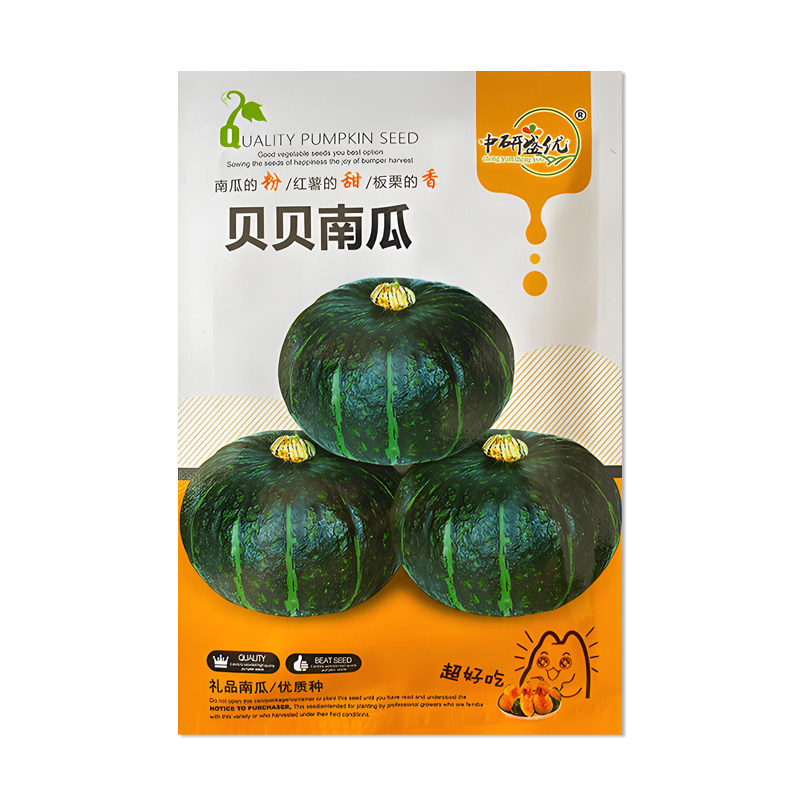 中研盛优贝贝南瓜种子