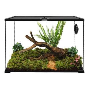 BG生态雨林造景爬宠饲养箱睫角守宫蜥蜴宠物蛇角蛙蜘蛛树栖玻璃缸