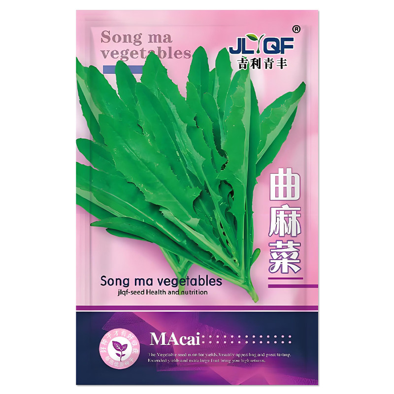 大叶曲麻菜种子苦麻菜种子