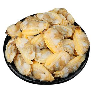 蛤蜊肉花甲鲜活花蛤黄蚬子肉花甲肉新鲜花螺海螺海鲜贝非干货即食