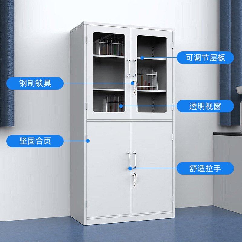 全钢药品柜 中西药品柜 实验室化学仪器柜玻璃门器皿柜试剂柜厂家