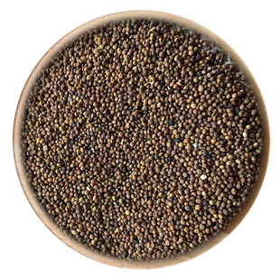 精选 中药材 野 菟丝子 菟丝实 兔丝子 50g可打粉满包邮