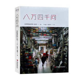 正版现货  正见：佛陀的证悟   八万四千问  佛法能够解决问题 宗教 8万4千问 宗萨蒋扬钦哲仁波切  姚仁喜 译 中国友谊出版公司