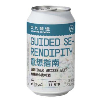 大九酿造意想指南柏林酸小麦啤酒