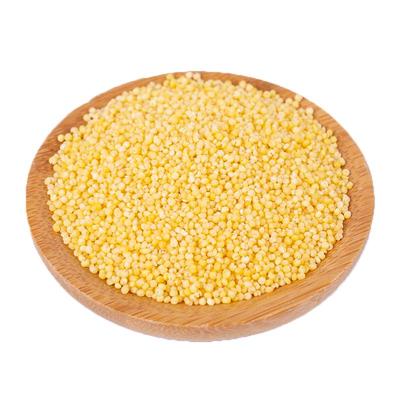 黄小米食用粘稠5斤真空新米