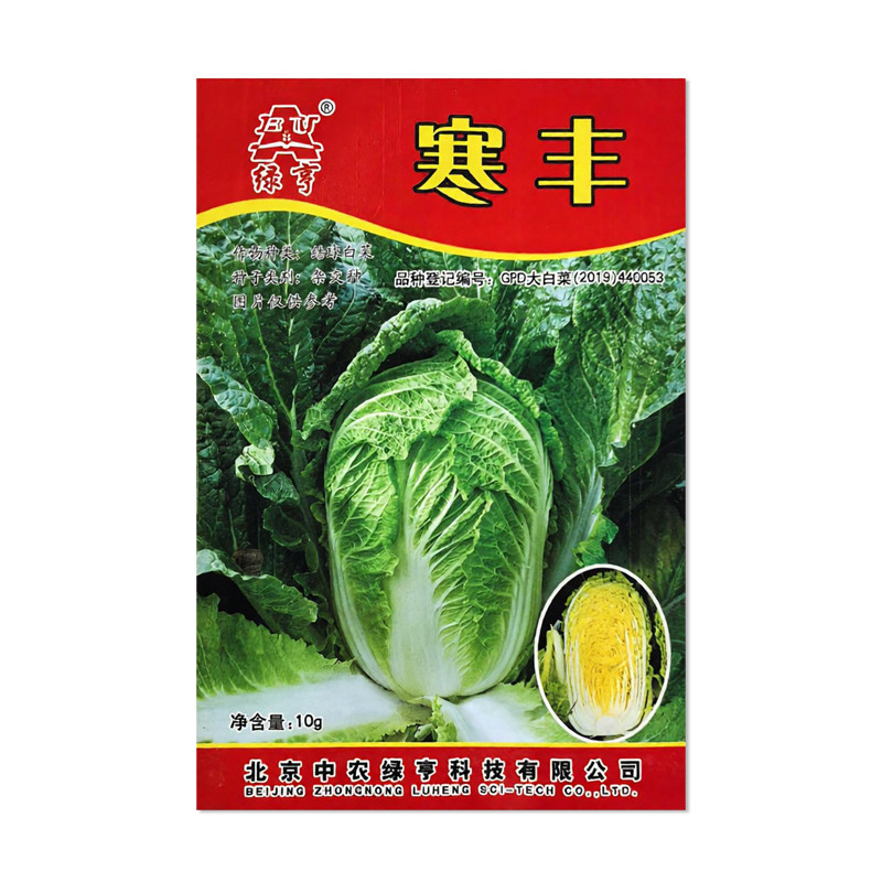 绿亨寒丰大白菜种子蔬菜种籽