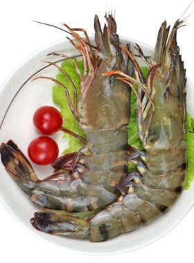 超大黑虎虾顺丰到家回头客多