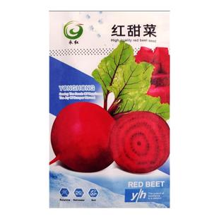 甜菜种子种籽孑甜菜根红甜菜头四季蔬菜盆栽籽种菜籽甜菜根籽田菜