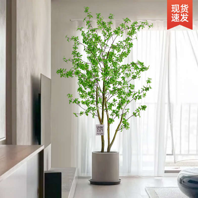 吊钟仿真绿植客厅大型落地盆栽室内装饰摆件仿生马醉木植物仿真树