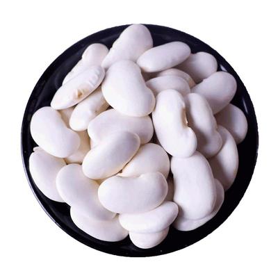 千柏山云南大白芸豆新货