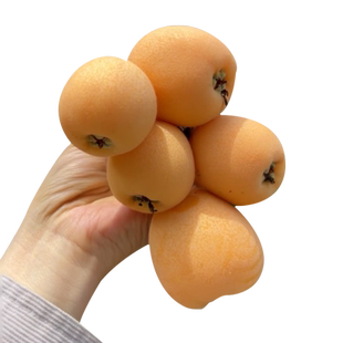 枇杷专用套袋水果套袋防虫防鸟果袋神器葡萄梨子纸袋水果保护套袋