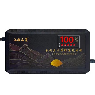 台铃电动车锂电池专用充电器48V2A54.6V3A卡农头品字头云插头专用