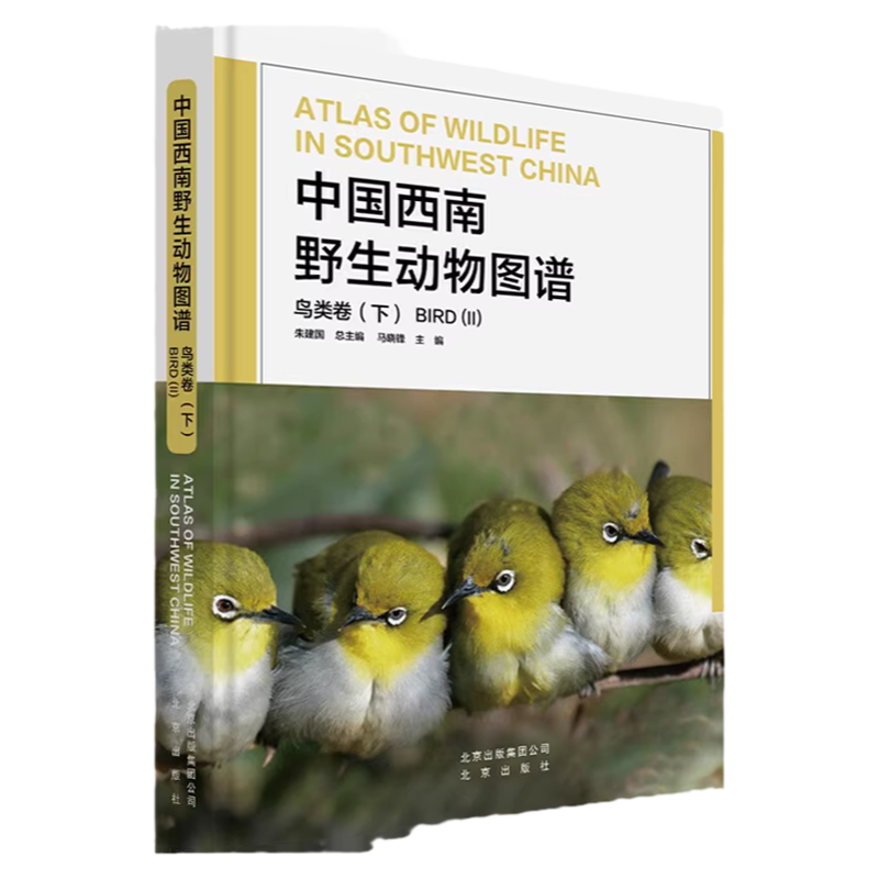 中国西南野生动物图谱 鸟类卷（下）云贵川藏广西自然生态野生特有珍稀鸟类的生活习性和特征科普读物生物学学术研究书北京出版社