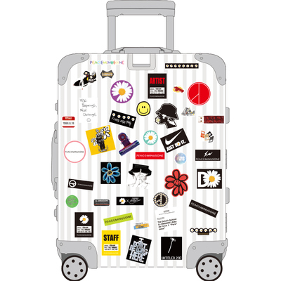 雏菊行李箱贴纸潮牌滑板防水贴画