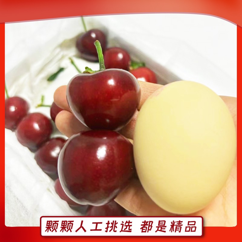坏果包赔大连美早樱桃J-6J空运大樱桃国产车厘子脆甜新鲜水果