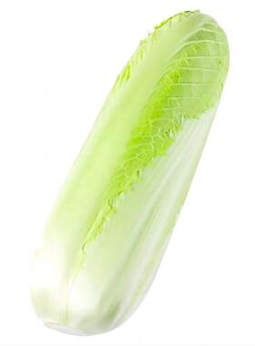 宁夏龙芽白菜鲜中带甜清甜多汁