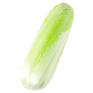 龙牙菜龙牙白菜宁夏供港龙芽菜日本绍菜长白菜清甜多汁一件包邮
