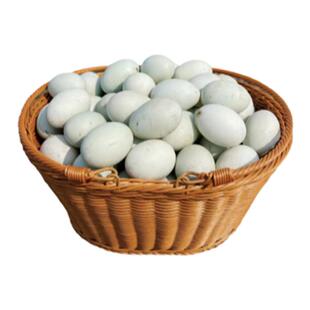 象山海岛滩涂散养生鲜海鸭蛋咸鸭蛋新鲜生宁波特产正宗滩涂海鸭蛋