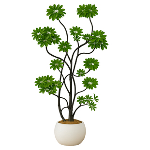 造型鸭脚木客厅绿植高级感室内大型盆栽高端大气上档次落地鸭掌木