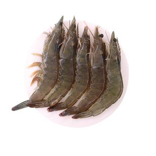 新鲜大虾鲜活冷冻速冻海虾盐冻白虾特大海捕大虾海鲜水产非基围虾