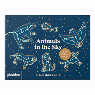 【现货】 Animals in the Sky 天空中的动物 天空形状 英文原版图书籍进口正版 儿童绘本 Sara Gillingham