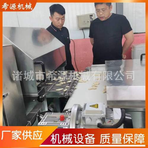 冻干草莓巧克力涂层机 全自动裹巧克力设备 800型淋浆机可试机