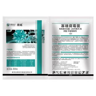 寡雄腐霉菌番茄晚疫病苹果腐烂病水稻纹枯病微生物杀菌剂番茄专用