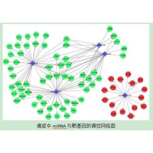 蛋白互作 网络理学 cytoscape gene 聚类热图 hub Ppi