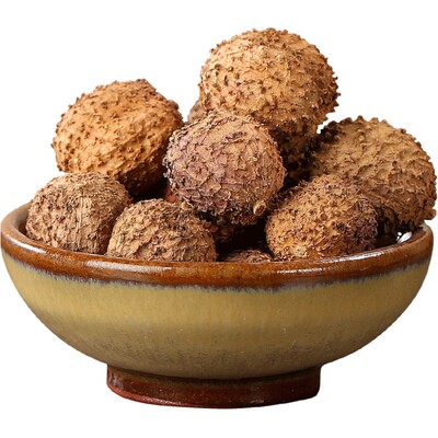 福东海春砂仁干果阳春特产药材