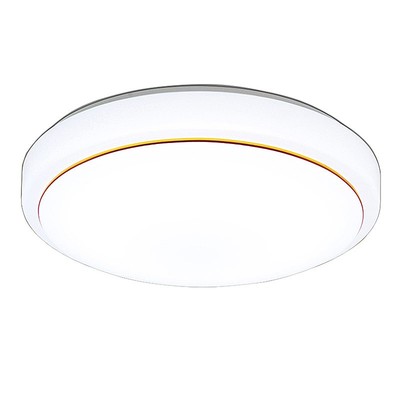 灯板芯led吸顶节能贴片珠