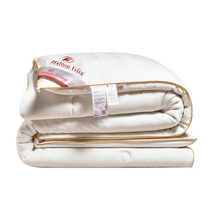 出口A+蚕丝被桑蚕丝春秋被正品空调被夏凉被子加厚保暖冬被四季被