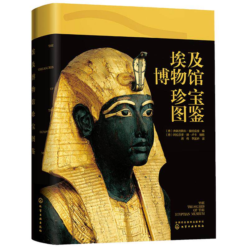 埃及博物馆珍宝图鉴 古埃及文明沉浸式跨时空对话看得见的世界史 奇迹金字塔故事埃及通史简史大中小学生课外阅读儿童人文百科书籍