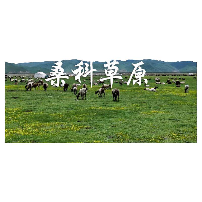醉美甘南4日游