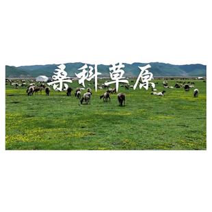 兰州 拉卜楞寺 郎木寺 花湖 扎尕那石城魅力4日游