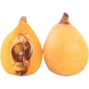 正宗四川攀枝花米易枇杷新鲜大果现摘琵琶当季孕妇水果整箱5斤装