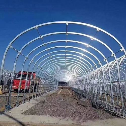 种植大棚大棚骨架养殖大棚鸡棚养猪棚蔬菜大棚花卉棚温室大棚全套