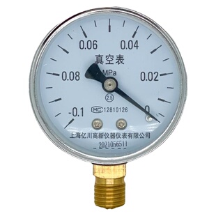 含油耐震压力表YN60/100防锈铜螺纹水压气压液压大表面温压一体表