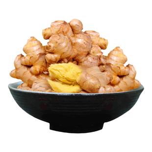 生姜小黄姜带泥嫩姜1-5斤新鲜姜块高山沙姜月子姜老黄姜母现挖菜