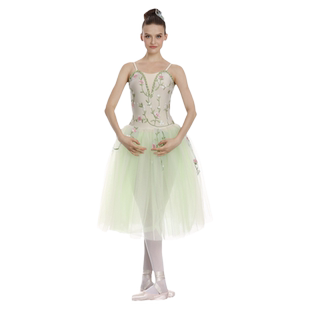 danceelite芭蕾舞裙大人专业tutu蓬蓬纱裙连衣裙现代芭蕾舞演出服