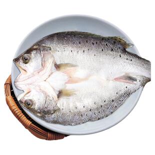 闽威三去开背冰鲜冷冻海鲈鱼海鲜水产半成品免处理商用冻鱼批发