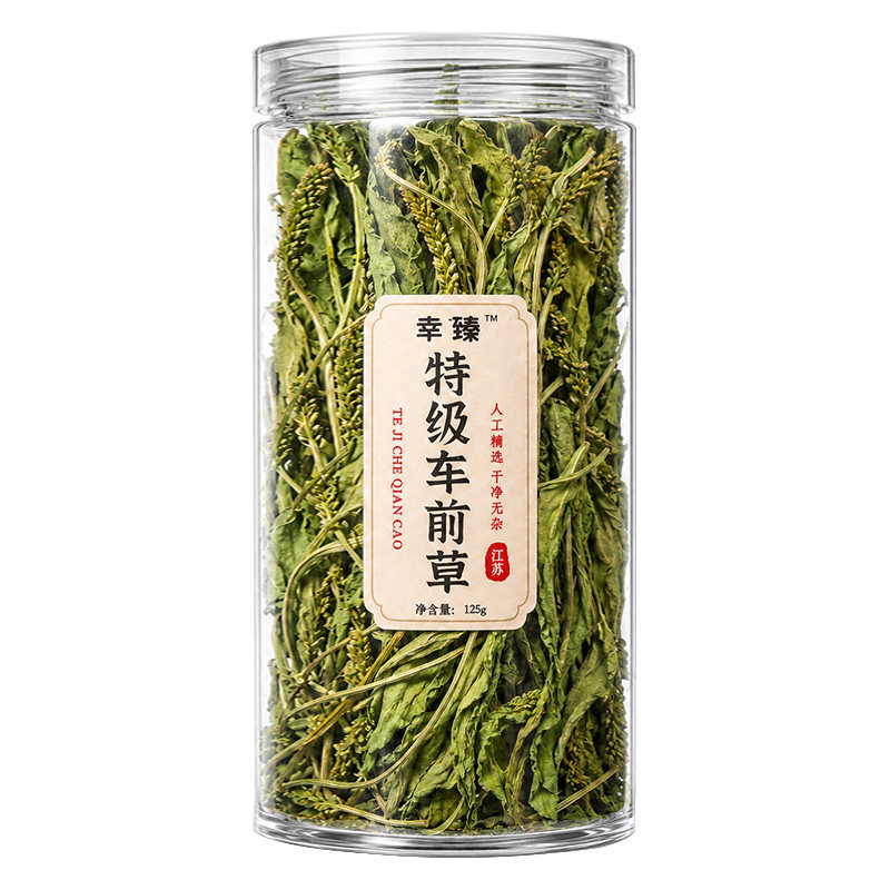 特级车前草野生整株干货泡水喝新鲜无硫中药材正品官方旗舰店