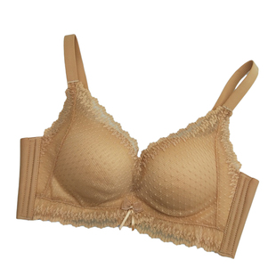水晶伴侣E8366 甜美蕾丝无磁无钢圈内衣女小胸中厚防下垂聚拢文胸