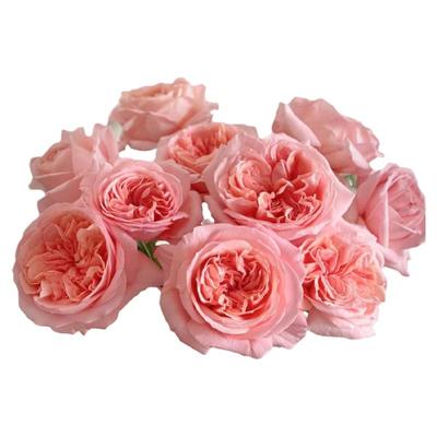 39选3鲜花云南直发玫瑰百合六出