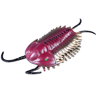 仿真远古海洋生物奇虾玩具动物模型三叶虫海蝎滑齿龙鱼龙儿童礼物