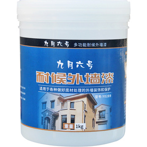 外墙漆水泥墙面乳胶漆室外户外自刷防水防晒油漆白色彩色外墙涂料