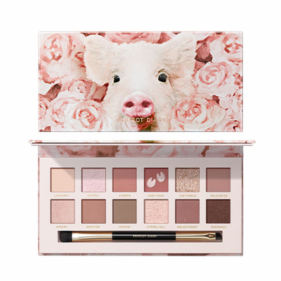 正品保障！现货秒发十二色眼影